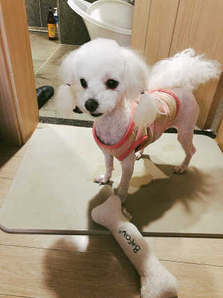 춘자도하님이 올린 리뷰 사진 2
