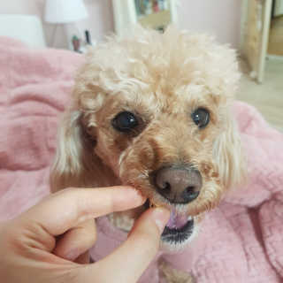 sombling0414님이 올린 리뷰 사진 2