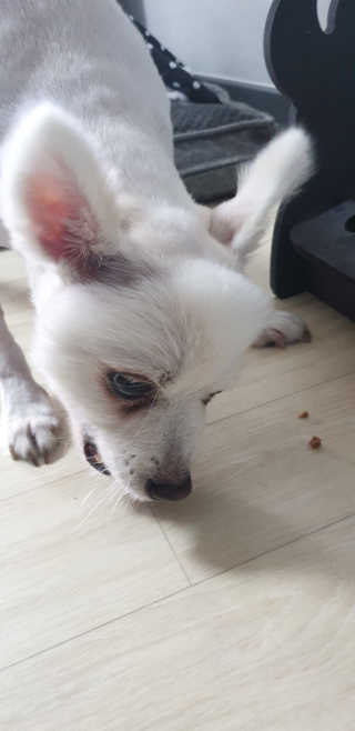 으콩님이 올린 리뷰 사진 3