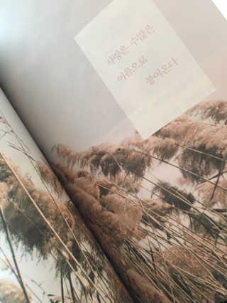 소진2님이 올린 리뷰 사진 2