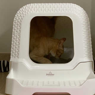 수경이야님이 올린 리뷰 사진 3