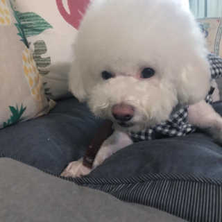 슈슈네님이 올린 리뷰 사진 1