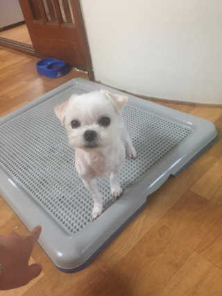 박쥐님이 올린 리뷰 사진 1