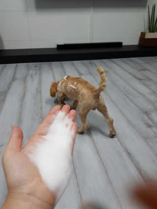 큐티윤님이 올린 리뷰 사진 3