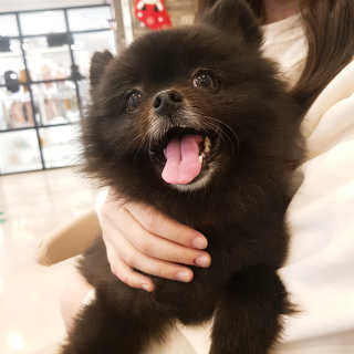 보리님이 올린 리뷰 사진 3