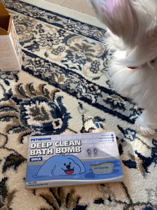 Pethroom 페스룸 PETHROOM DEEP CLEAN BATHBOMB 페스룸 딥클린 배쓰밤 — 4점을 준 리뷰어가 2020년 3월 올린 사용 사진