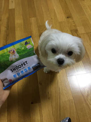더 잘먹는 스누펫 펫 도시락_어덜트 — 5점을 준 리뷰어가 2018년 5월 올린 사용 사진