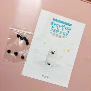 [펫토리아] 한판뚝딱 강아지 배변판 실속형,초대형 — 5점을 준 리뷰어가 2019년 6월 올린 사용 사진