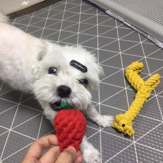 당근님이 올린 리뷰 사진 2