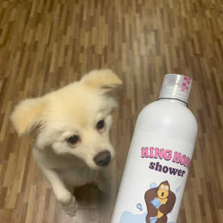 정혜원님이 올린 리뷰 사진 2