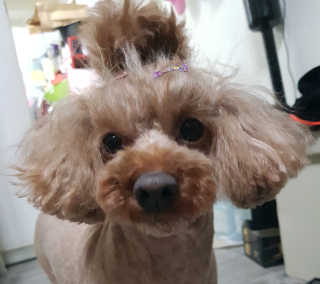 오고님이 올린 리뷰 사진 3