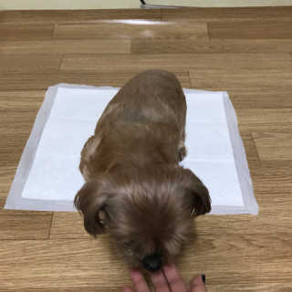 오현주님이 올린 리뷰 사진 3