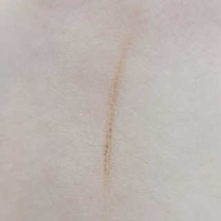 faniii님이 올린 리뷰 사진 2