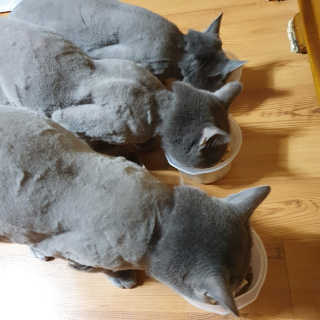 여온님이 올린 리뷰 사진 1