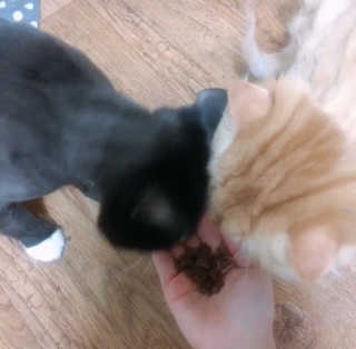 나르미르님이 올린 리뷰 사진 3