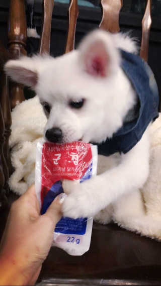 루이님이 올린 리뷰 사진 2