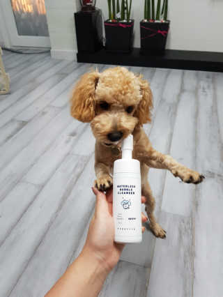 큐티윤님이 올린 리뷰 사진 2