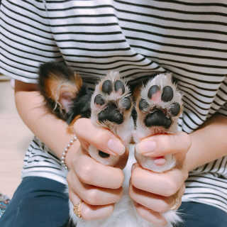 마법의성님이 올린 리뷰 사진 2