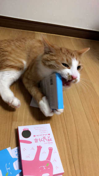 까룡이님이 올린 리뷰 사진 1