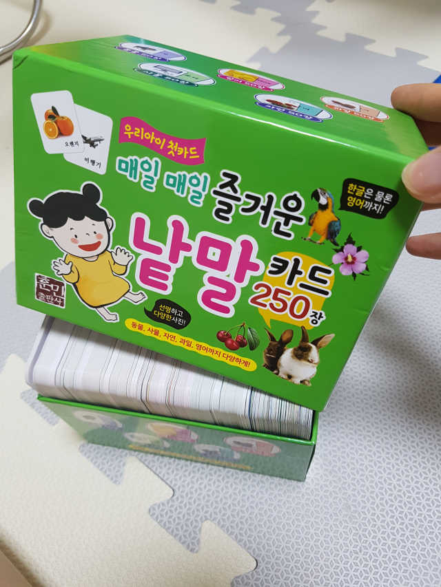 매일매일 즐거운 낱말카드 250장 리뷰 사진