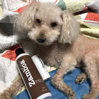 찡님이 올린 리뷰 사진 2