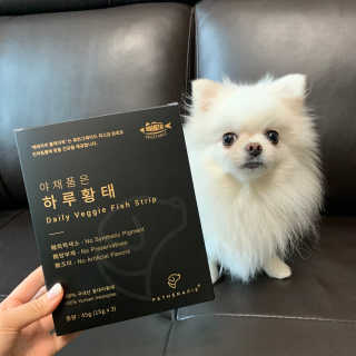 펫테라피 플레이트 야채품은 하루황태 — 5점을 준 리뷰어가 2020년 1월 올린 사용 사진