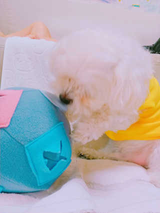 🍑여신🇰🇷샤🎀맘🍑님이 올린 리뷰 사진 4