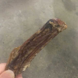율무누나님이 올린 리뷰 사진 2