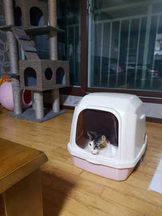 클랑유님이 올린 리뷰 사진 2