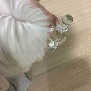 오!마이실리 오마이실리 반려동물 디퓨저 — 4.5점을 준 리뷰어가 2017년 6월 올린 사용 사진