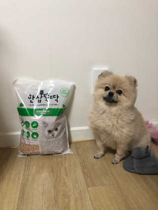 berryjjung님이 올린 리뷰 사진 1
