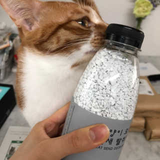 chu님이 올린 리뷰 사진 1