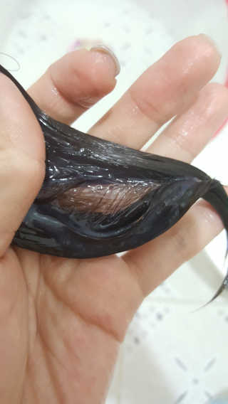 유진오님이 올린 리뷰 사진 3