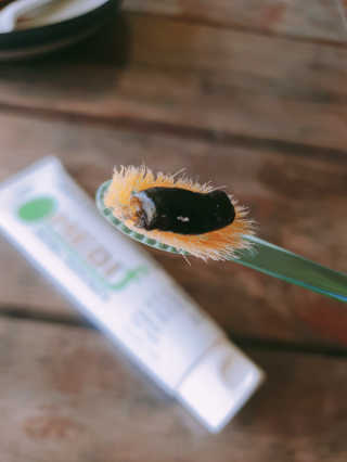 메디프랜천연잇몸치약 메디프랜치약 — 3점을 준 리뷰어가 2019년 6월 올린 사용 사진