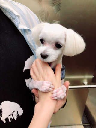 모모님이 올린 리뷰 사진 1