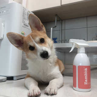 초아시우맘님이 올린 리뷰 사진 1