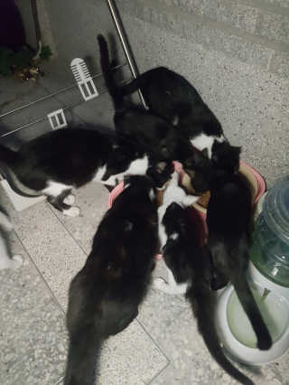 흐큑흐큑님이 올린 리뷰 사진 4