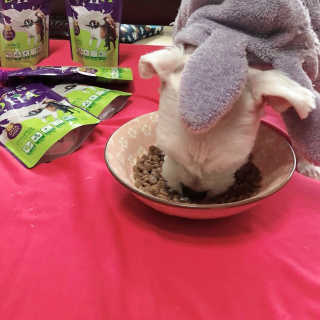 째째님이 올린 리뷰 사진 3