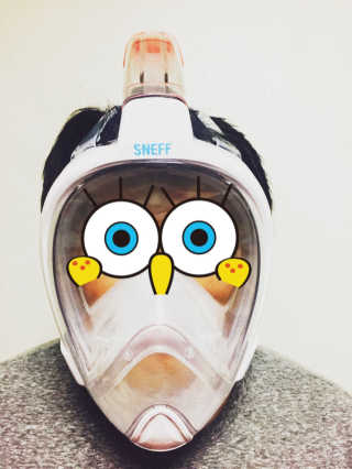 DH님이 올린 리뷰 사진 1