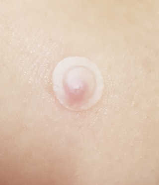 박수인님이 올린 리뷰 사진 4