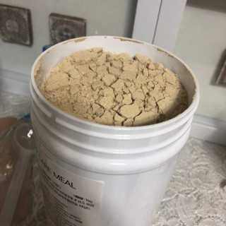 (주)이스터비엔에프 식사대용선식 원데이케어밀 1KG 대용량 — 4.5점을 준 리뷰어가 2019년 2월 올린 사용 사진