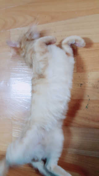 moomoon님이 올린 리뷰 사진 4