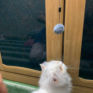 miyoooo님이 올린 리뷰 사진 2