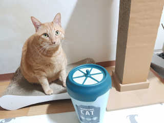 솔탄이love님이 올린 리뷰 사진 2