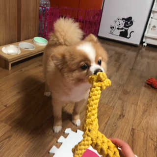 럽영님이 올린 리뷰 사진 1