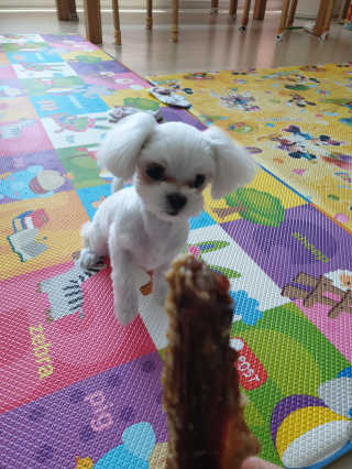 삐랭이님이 올린 리뷰 사진 3
