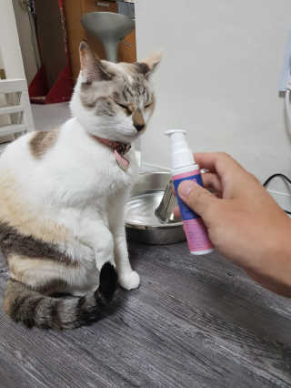 김지운님이 올린 리뷰 사진 2