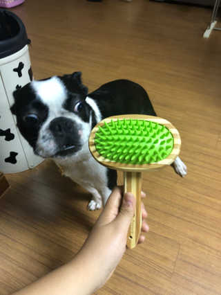 오수빈님이 올린 리뷰 사진 4