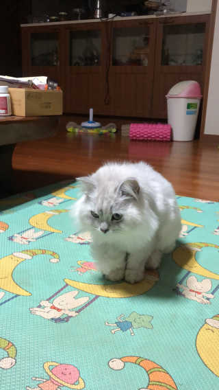 hyesu님이 올린 리뷰 사진 2