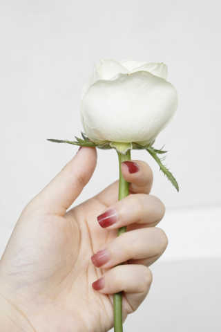 Heather님이 올린 리뷰 사진 4